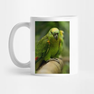 blbr feed me Mug